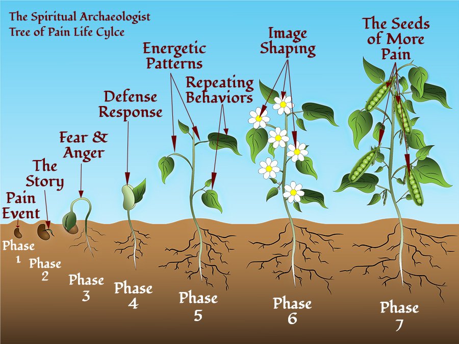 The Spiritual Archaeologist - The Tree of Pain Life Cycle